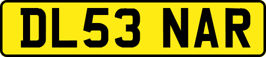 DL53NAR