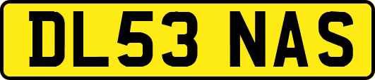 DL53NAS