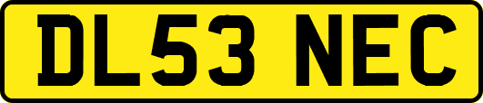 DL53NEC