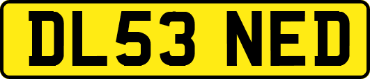 DL53NED