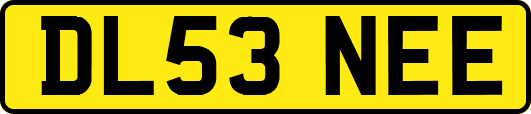 DL53NEE