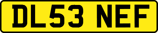 DL53NEF