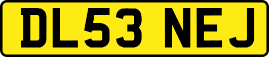 DL53NEJ