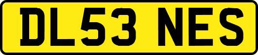 DL53NES