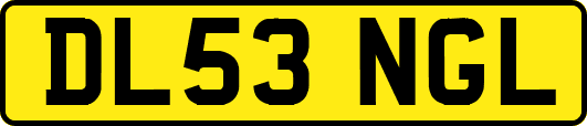 DL53NGL
