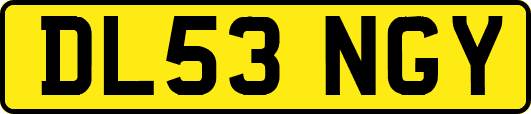 DL53NGY