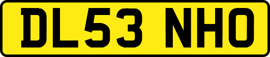 DL53NHO