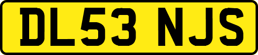 DL53NJS