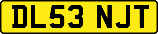 DL53NJT