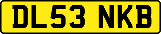 DL53NKB