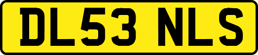 DL53NLS