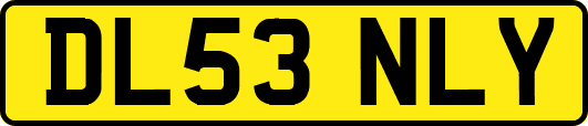 DL53NLY