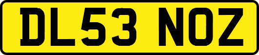 DL53NOZ