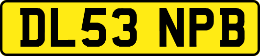 DL53NPB