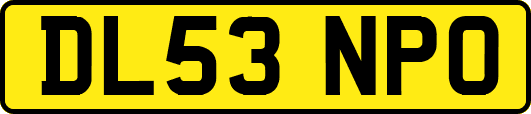 DL53NPO