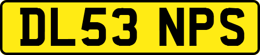 DL53NPS