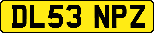 DL53NPZ