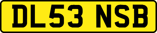 DL53NSB
