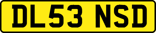 DL53NSD