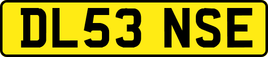 DL53NSE