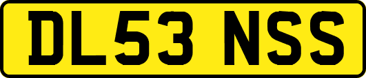 DL53NSS