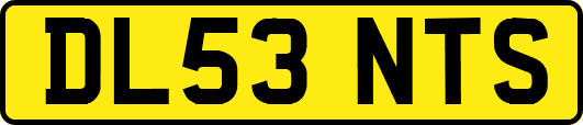 DL53NTS