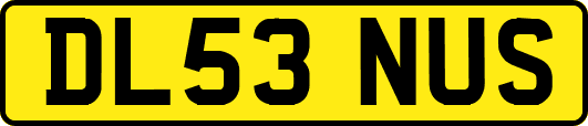 DL53NUS