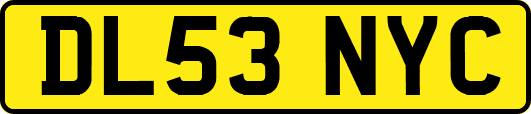 DL53NYC