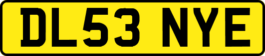 DL53NYE