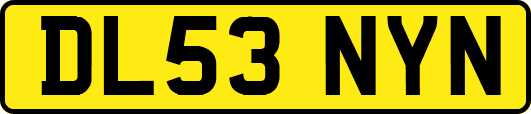 DL53NYN