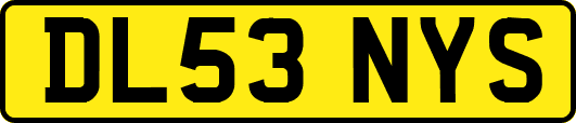 DL53NYS