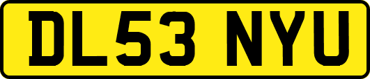 DL53NYU