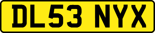 DL53NYX