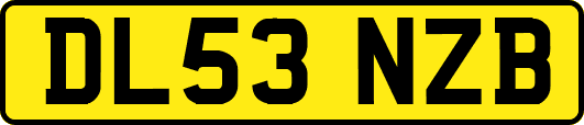 DL53NZB