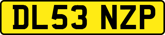 DL53NZP