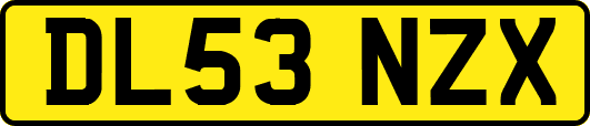 DL53NZX