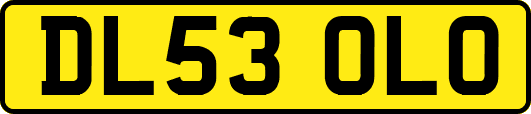 DL53OLO