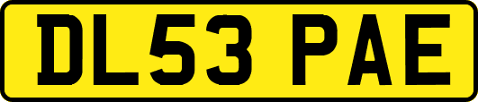 DL53PAE