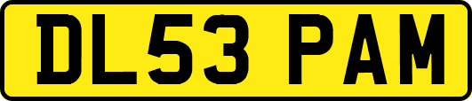 DL53PAM