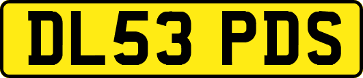 DL53PDS