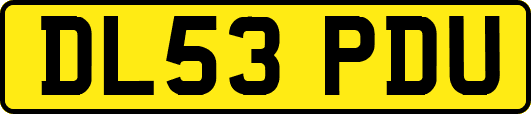 DL53PDU