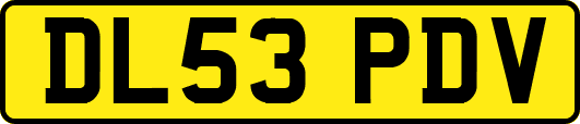 DL53PDV