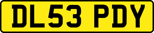 DL53PDY
