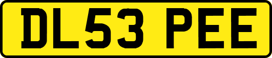 DL53PEE