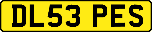 DL53PES
