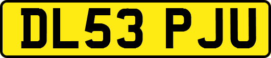 DL53PJU