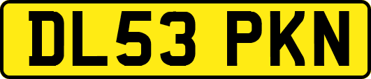 DL53PKN