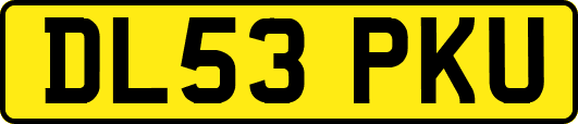 DL53PKU