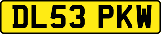 DL53PKW