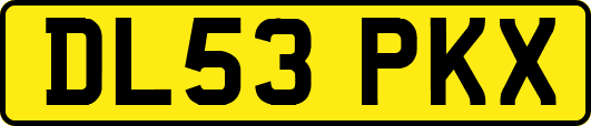 DL53PKX